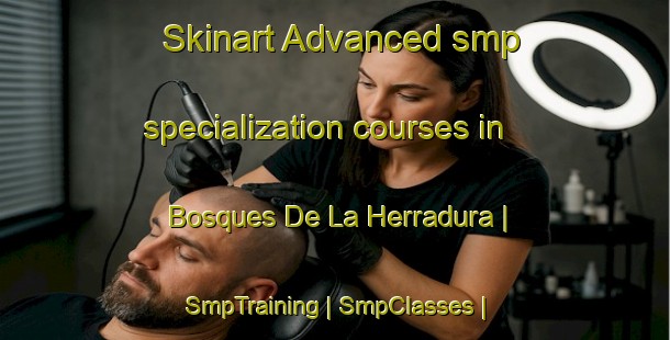 Skinart Advanced smp specialization courses in Bosques De La Herradura | SmpTraining | SmpClasses | SkinartTraining-Mexico
